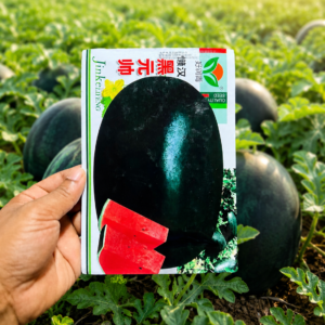 বিদেশি তরমুজের বীজ- Black