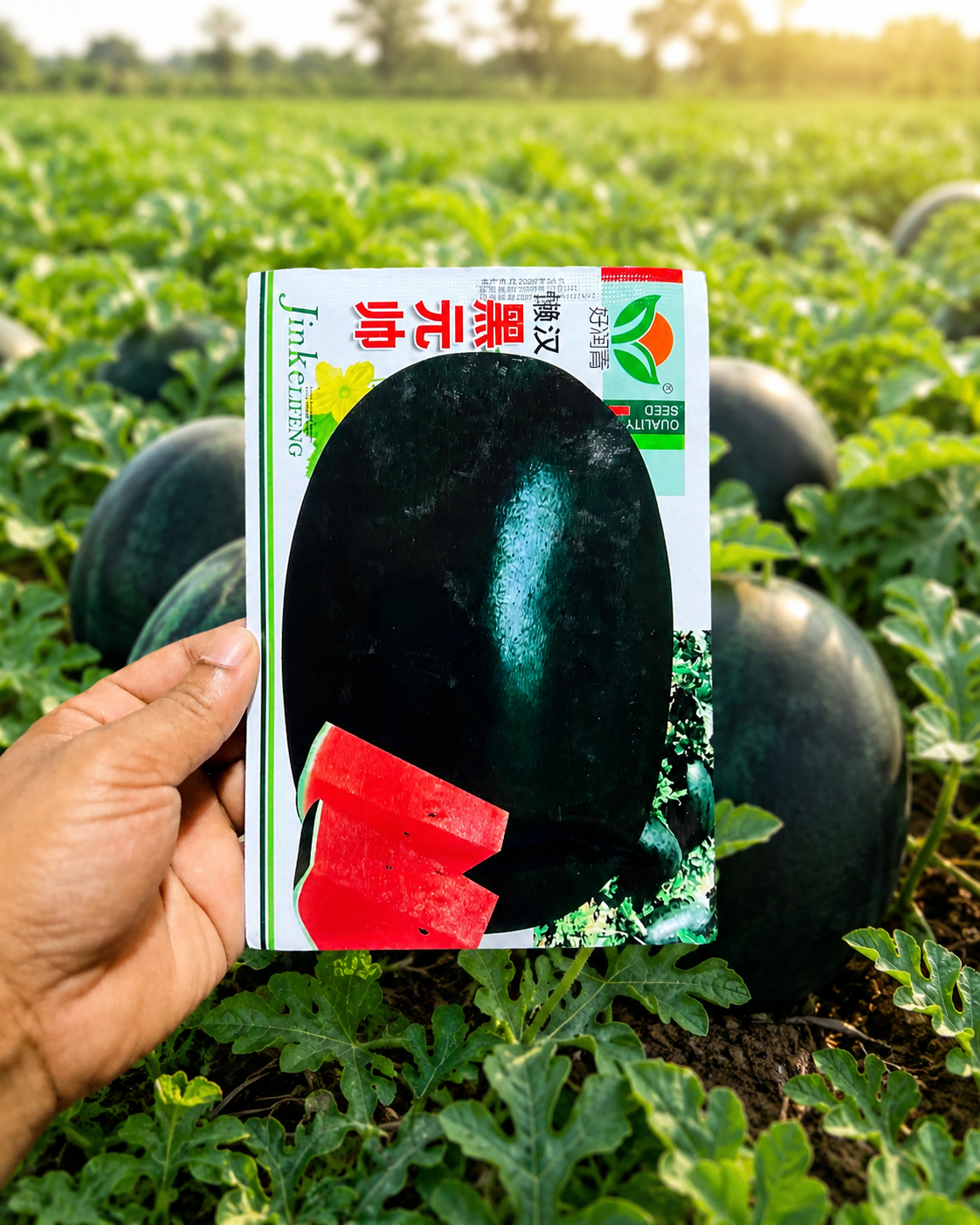 বিদেশি তরমুজের বীজ- Black