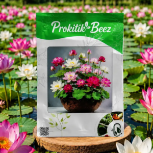 10+ বীজের প্যাকেট 🌸 এক প্যাকেটেই থাকছে 10+টি বীজ