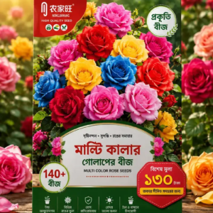 🌹 মাল্টি কালারের গোলাপ ফুলের বীজ