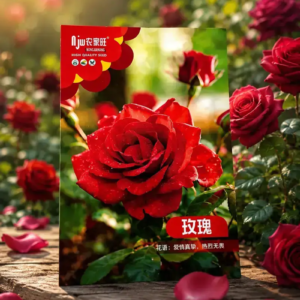 🌹 লাল গোলাপ ফুলের বীজ